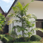 pool-villa-sale-east-coast-koh-chang-exterior-1