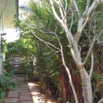 3-bedroom-villa-sale-koh-chang-side-passage-1