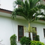 4br-house-sale-koh-chang-east-coast-side