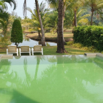 4-bedroom-pool-villa-north-koh-chang-view-1