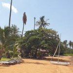 beach-amber-sands-resort-koh-chang-1