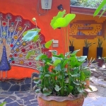 B&B-land-sale-koh-chang-artwork