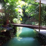 bed-breakfast-koh-chang-land-sale-natural-pool