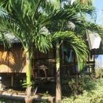 backpacker-huts-sale-west-coast-koh-chang-2-1