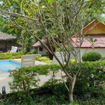 bungalow-resort-pool-south-coast-sale-koh-chang-1-35