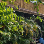 bungalow-resort-restaurant-west-coast-koh-chang-front-1