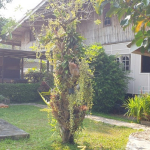 bungalow-resort-restaurant-west-coast-koh-chang-restaurant-rear-2