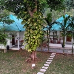 bungalow-resort-shop-units-sale-koh-chang-rooms-3