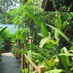 bungalows-bar-restaurant-sale-koh-chang