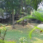 bungalow-resort-sale-koh-chang-garden