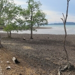 dan-khao-koh-chang-coastline