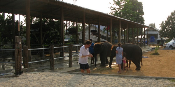 elephant tourists kaibae meechai elephant camp koh chang