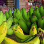 All Bananas on Koh Chang