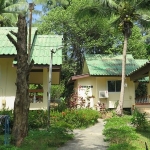 koh-chang-hostel-sale-bungalows-rear