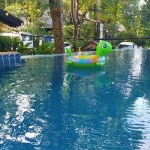 hostel-sale-restaurant-pool-west-coast-koh-chang-9