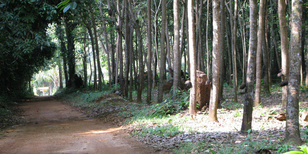 roads taxis koh mak