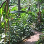 jim-thompson-house-bangkok-5