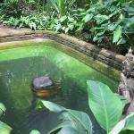 jim-thompson-house-bangkok-8