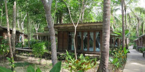 bungalow jungle resort koh kood