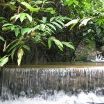 weir-klong-neung-waterfall-koh-chang