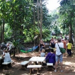 elephant-trekking-koh-chang-ban-kwan-chang