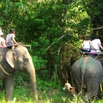 elephant-trekking-koh-chang-ban-kwan-chang