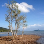 northern-end-chek-bae-koh-chang