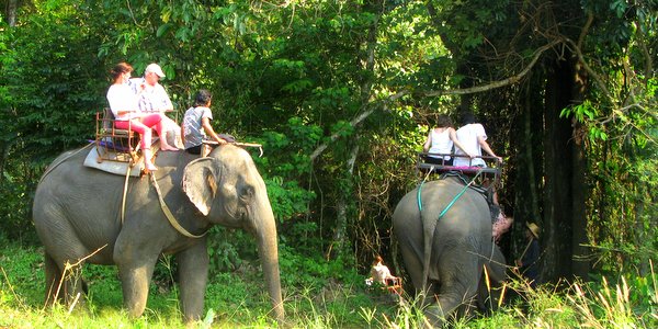 Elephant Trekking Koh Chang Ban Kwan Chang