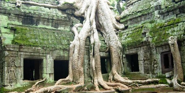 old temple angkor wat siem reap cambodia