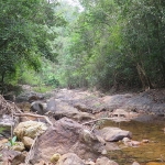 koh-chang-treks-than-mayom-klong-plu