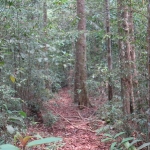 koh-chang-treks-than-mayom-klong-plu