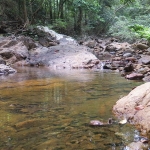 koh-chang-treks-than-mayom-klong-plu