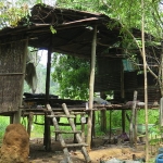 koh-chang-treks-than-mayom-klong-plu