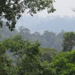 koh-chang-treks-than-mayom-klong-plu