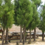 koh-kradat-koh-mak-islands-2