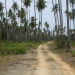 koh-kradat-koh-mak-islands-3-3