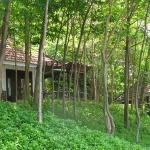 Koh Ngam