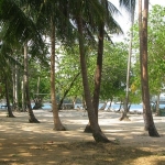 rayang-phurin-resort-2-3