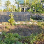 land-sale-south-east-koh-chang-1