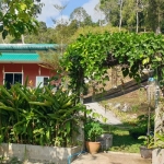 land-sale-south-east-koh-chang-8