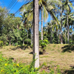 land-house-sale-south-east-koh-chang-front-1