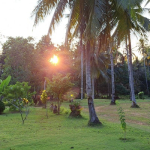 land-house-sale-south-east-koh-chang-view-1