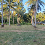 land-house-sale-south-east-koh-chang-view-2