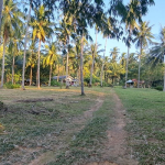 land-house-sale-south-east-koh-chang-view-3