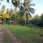 land-house-sale-south-east-koh-chang-view-4