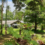 land-house-sale-south-east-koh-chang-view-back-1
