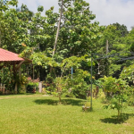 land-house-sale-south-east-koh-chang-view-cafe-1