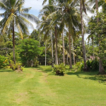 land-house-sale-south-east-koh-chang-view-forward-1