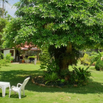 land-house-sale-south-east-koh-chang-view-forward-2