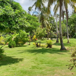 land-house-sale-south-east-koh-chang-view-forward-4